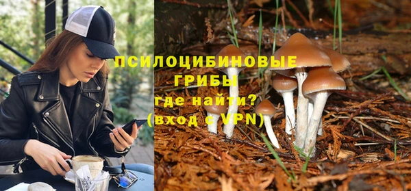 мет Вяземский
